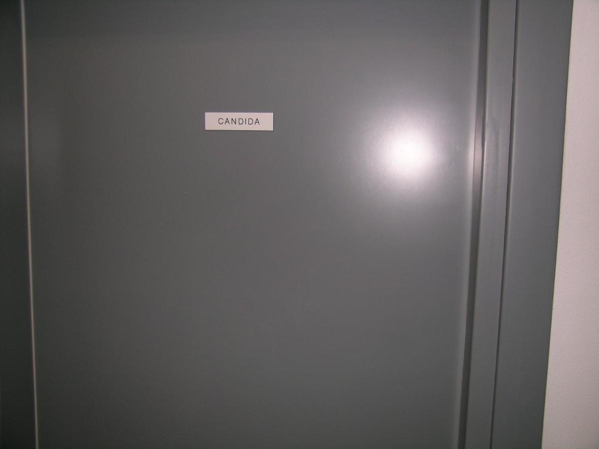 Camera Con Bagno Privato Candida ラ・スペツィア エクステリア 写真